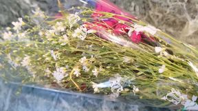 New Valentine's Day video