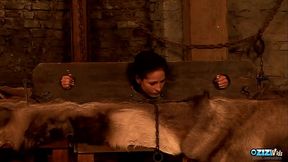 Things are getting very slippery in this medieval dungeon as the group sex takes place