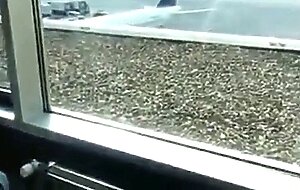 Public Masturbation: Airport Pee and Cum