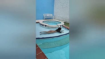 Todos Necesitamos A La MAMA De Mi Amigo. Acepte Su Invitacion Porque Es Muy Caliente y Zorra !