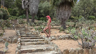 Dildo, bikini and cactus
