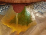 chubby bear pisses in open diaper