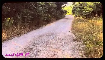Passionate Encounter with a Stranger - Intense HD Porn