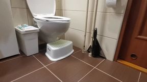 1Hour toilet compilaton (highheels - farts - hot masturbation on toilet - dancing)
