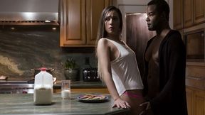 The Cookie Jar - Pure Taboo