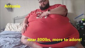 Antonio near 800lbs More to adore