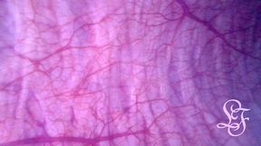 look inside my bladder as i push a torch up my ass