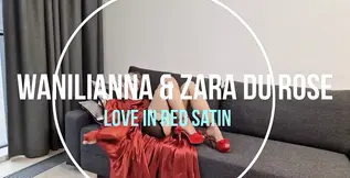 Red gown-wearing mature lesbo in seamed stockings