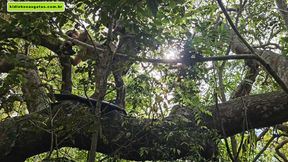 Busty morena seduces stranger to give BBC a blowjob upstairs