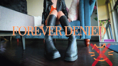 Pussy-Free Beta Forever Denied A Humiliating Countdown JOI