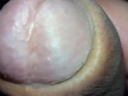 gingerbeard shave his dick and make a big loads (ONLYFANS @feet_man88)