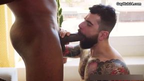 GayHub24.com - immense manstick Alert