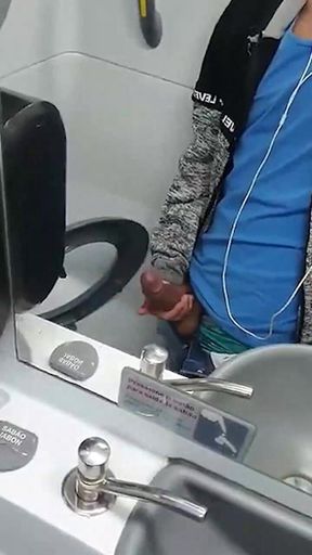 Sex in the Airplane Toilet