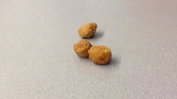 Gay Nugget Porn