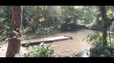 Skter10 Chokes Thai Slut Big Dick Outdoor Public Blowjob