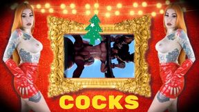 Cocks for Christmas - 3D, Make me Bi , COCK WORSHIP , GAY JOI
