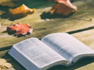 Numbers 23-25 KJV (Full Bible Read Through Video #34)