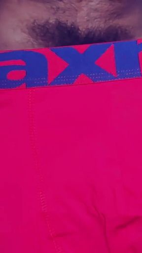 Testing New Briefs