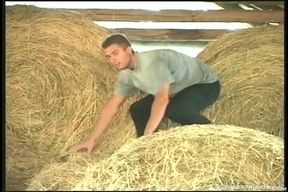 Farm Boys