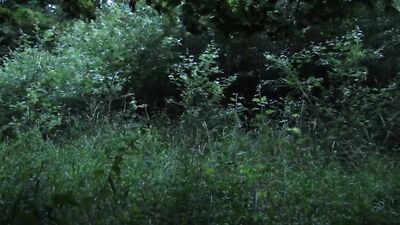 LONGEST DAY, SUMMER HEATWAVE NAKED WALK