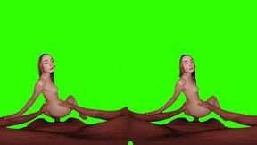 [passthrough] doggy compilation 2