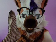 Furry Femboy Getting Bent In Half And Roughly Fucked With A Strap On! (In Fullsuit)