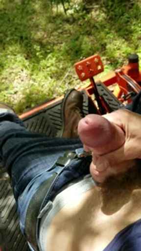 Fun on the farm