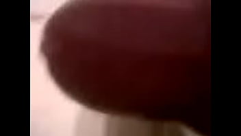 Canadian Cock