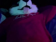 Horny collie murrsuit gets a handjob