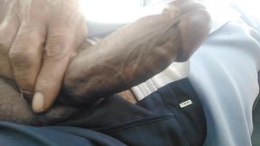 Strong Indian Cock
