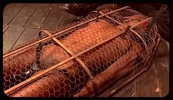 Ebony Bound & Caged: Intense BDSM Punishment Video collection