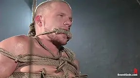 Slicked Master And The With Golden Boy