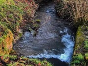 MAIDENS GONE MEDIEVAL (DARK FANTASY VLOG)