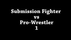 FFGFAN Submission Fighter vs Pro-Wrestler LG