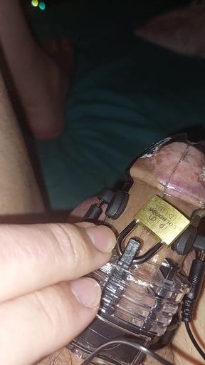 Estim Chastity