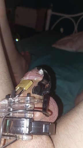 Estim Chastity