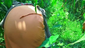 I fucked my friend&#039;s wife for the first time in the cornfield today.