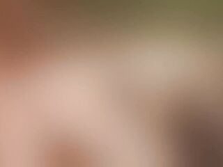 Fake Policeman Affair