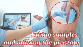 Doctor takes sperm analysis and milks prostate