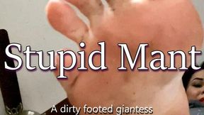Stupid Mant Remastered HD