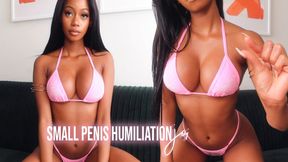 Small Penis Humiliation joi