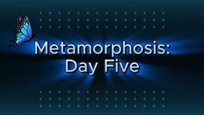 Metamorphosis: Day Five