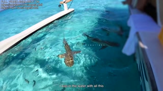 Angela Doll - French VLOG Luxury slut gets fucked while traveling Bora Bora French Polynesia