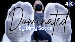 Dominated by Dirty Socks - 4K - The Goddess Clue, Sock Fetish, Foot Domination, Extreme Humiliation and Foot Slave Training