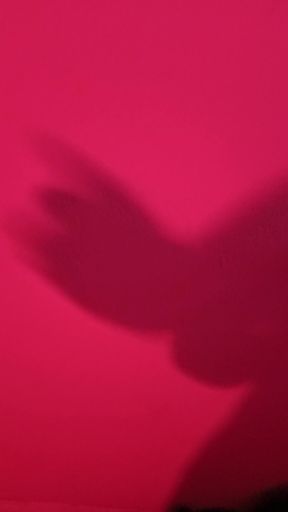 Shadow masturbation