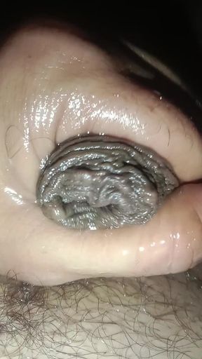 Look at My Dick