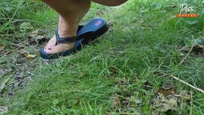 Pissing compilation  Golden rain  Femdom piss  Ep 808 (Pure_Taboo Pure_Taboo)