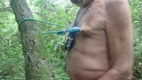 nipple training in a cruizing forest