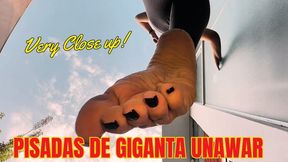 Pisadas de giganta unaware
