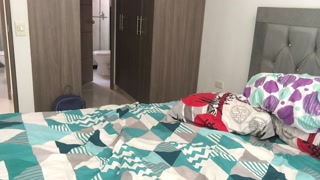 I hide and see my mother in law